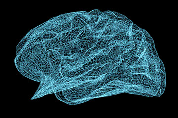 Digital x-ray human brain 3D rendering