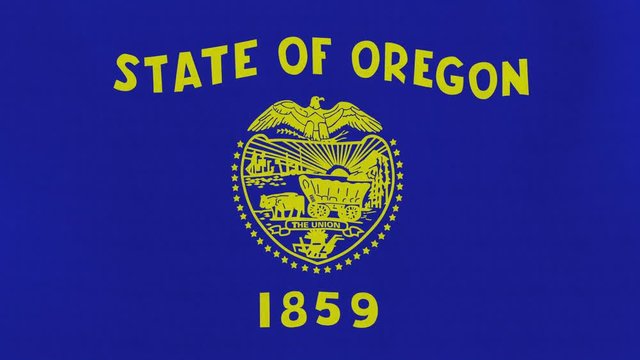 Loopable: Oregon flag...Flag of state Oregon waving in the wind...Seamless loop...Made from ultra high-definition original with detailed fabric texture.