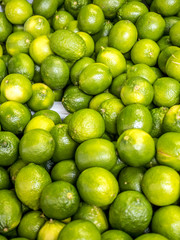 Limes for sale