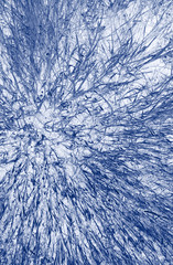 imaginative background