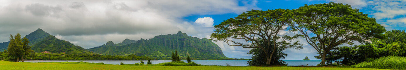 Fototapeta na wymiar Quintessential Hawaii