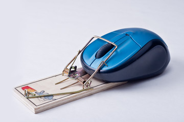 Blue Wireless Mouse in Mousetrap