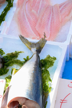 Fish exposed in market