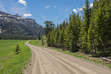 Fototapeta na wymiar Dirt road leads through a mountain meadow beside a long line of green pine trees.