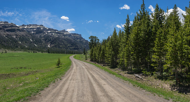 Fototapeta Dirt road leads through a vast mountain meadow in a Rocky Mountains wilderness in the western United States.