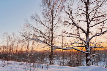 Beautiful winter sunset