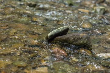 stones in water