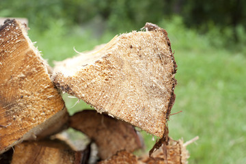 a triangle shaped piece of wood or log is stacked against other logs ready for campfire