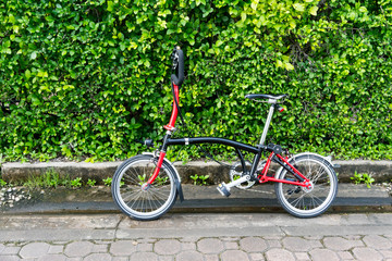 Black and red folding bicycle in front of tree wall