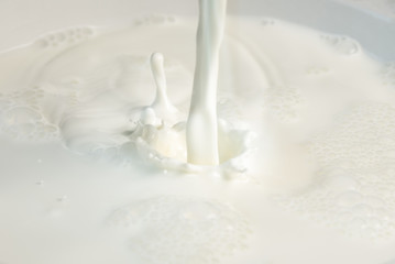 Splashing Milk