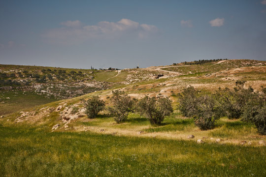 Israel mountain view