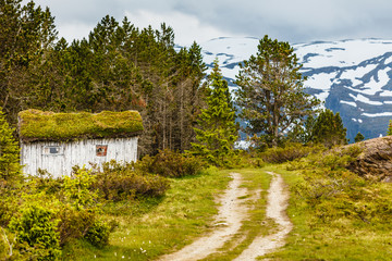 Fototapeta na wymiar Old wooden cabin in forest Norway
