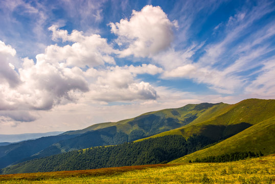beautiful summer landscape in mountains