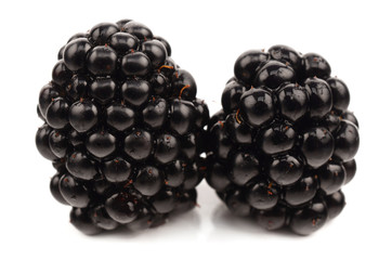 blackberries on a white background