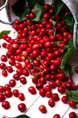 Scattered cherry from basket. Cherries in basket on white background. Healthy, summer fruit. Cherries. Close up.