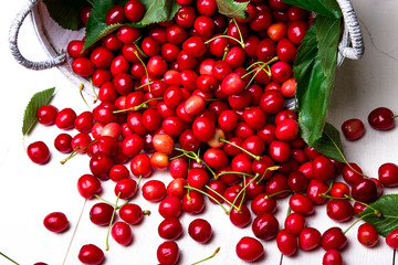 Scattered cherry from basket. Cherries in basket on white background. Healthy, summer fruit. Cherries. Close up.