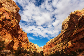 Capitol Reef