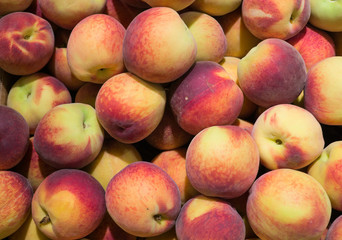 Fresh, ripe, juicy peaches collected in the garden.