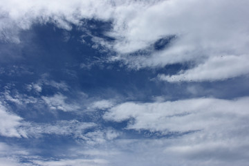 Obraz premium 鳥たちと青空と雲（天空を行く鳥たち）「空想・雲のモンスターたち〔オスのモンスター（上）とメス（中央）、そしてメスの前で子供らが兄弟喧嘩をしているイメージ〕」家族連れ、親子連れ、兄弟喧嘩の仲裁をする親、仲間、愛情、子育て、父性、母性、未来、人生、ライフプランなどのイメージ