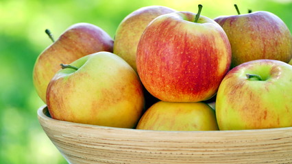 Organic apples in basket. Fresh apples in nature. Close up view.