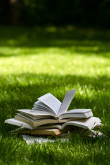 open books on grass in a green park