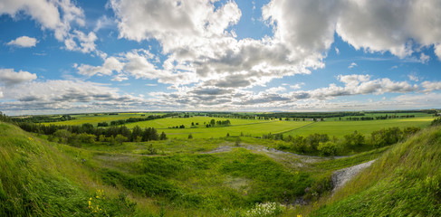 Fototapeta na wymiar Green and yellow fields panorama. Nature landscape.