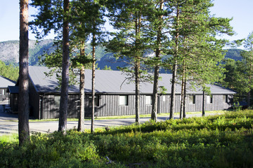Fototapeta premium Bjørneparken, in the mountains on the road between Oslo and Bergen, Norway