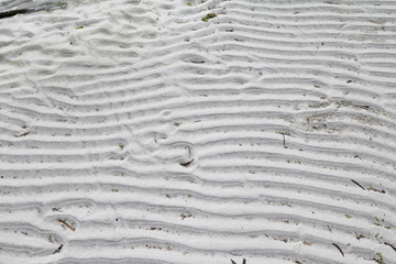 Wave structure in the sand at low tide
