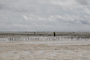 Low Tide In Zanzibar