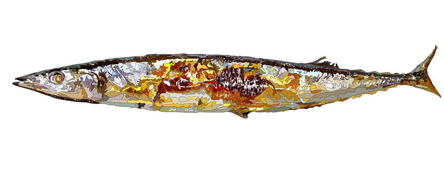 サンマのイラスト の画像 2 163 件の Stock 写真 ベクターおよびビデオ Adobe Stock サンマのイラスト の画像 2 163 件の Stock 写真 ベクターおよびビデオ Adobe Stock