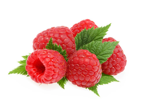 Raspberries with leaves isolated
