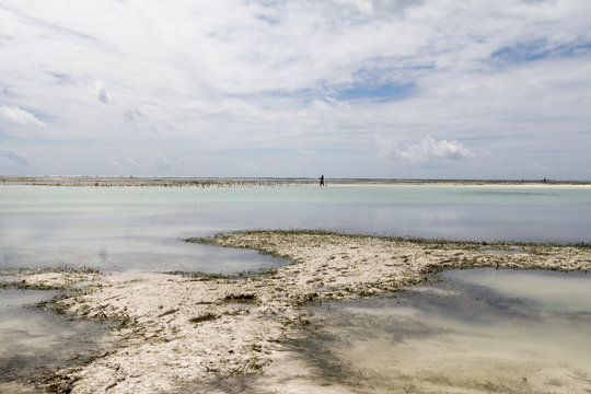 Fototapeta Low Tide In Zanzibar