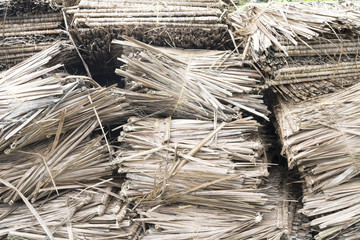 Dried palm leaves