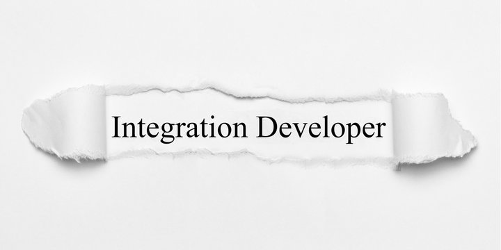 Integration Developer on white torn paper