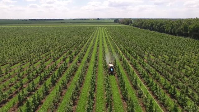 Tractor spraying fruit trees