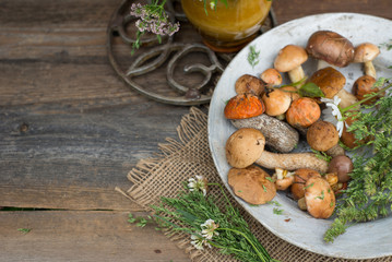Fresh woodland fungi with boletus mushrooms