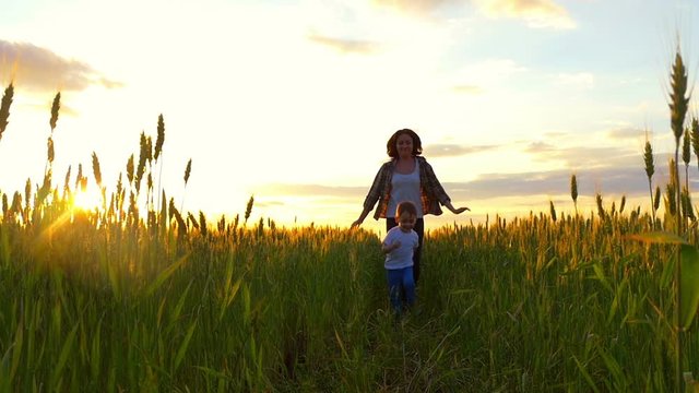 A child boy runs with his mother in a field of golden wheat, playing in nature.