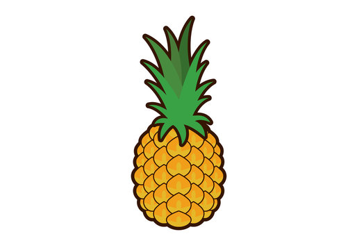 Pineapple vector. Pineapple clip art. Pineapple icon on a white background