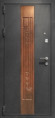 Fototapeta premium Entrance door (metal door)