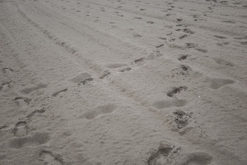 footpronts in the sand by the sea