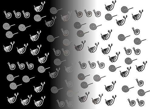 Spiral, schematic snail, black, gray, white. Design work.
