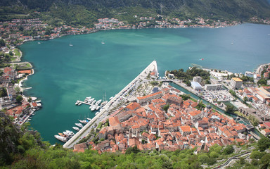Kotor