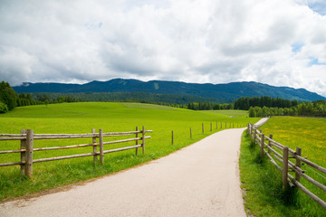 Fototapeta na wymiar Narrow road passing through a green field in Bavarian Alps.
