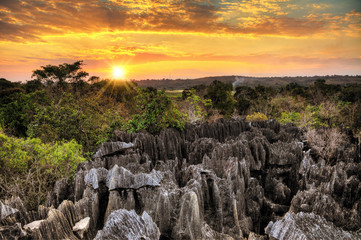 Beautiful HDR view on the unique geography at the Tsingy de Bemaraha Strict Nature Reserve in Madagascar - obrazy, fototapety, plakaty