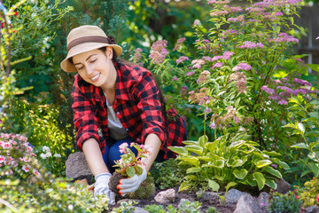 woman gardener planting flowers