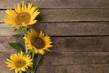 Sunflowers on the old wooden background. Space for text.