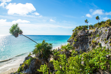 Wild Beach at Tulum - Riviera Maya in Mexico