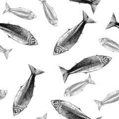 Watercolor drawing seamless pattern with fish, herring on white background, minimalism style, pencil sketches, on a theme of summer, underwater and sea life in sea and ocean for design and decoration
