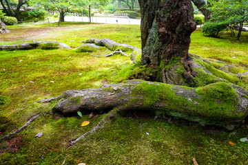 兼六園にて