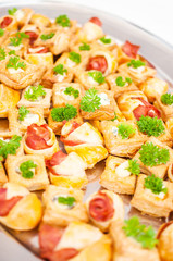 Delicacies and snacks at a buffet or Banquet. Catering.